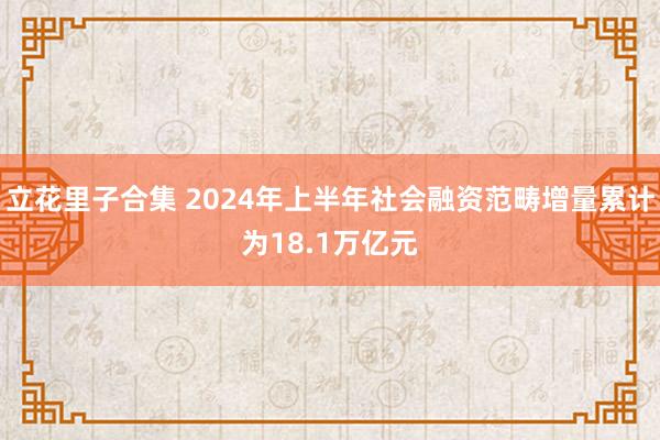 立花里子合集 2024年上半年社会融资范畴增量累计为18.1万亿元