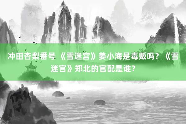 冲田杏梨番号 《雪迷宫》姜小海是毒贩吗？《雪迷宫》郑北的官配是谁？