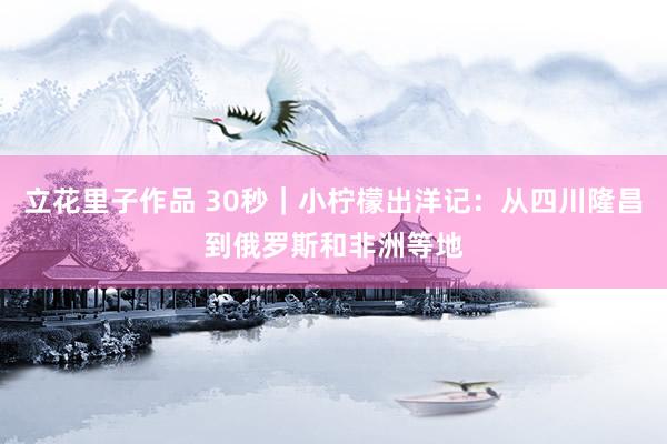 立花里子作品 30秒｜小柠檬出洋记：从四川隆昌到俄罗斯和非洲等地