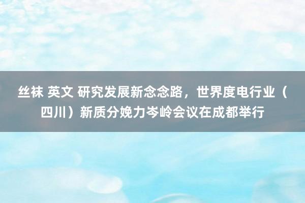 丝袜 英文 研究发展新念念路，世界度电行业（四川）新质分娩力岑岭会议在成都举行