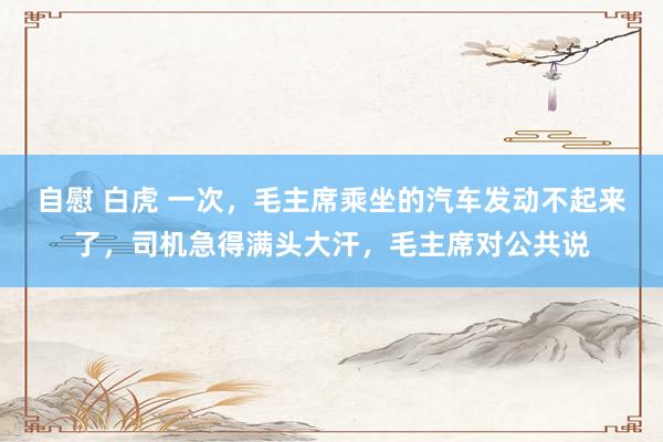自慰 白虎 一次，毛主席乘坐的汽车发动不起来了，司机急得满头大汗，毛主席对公共说