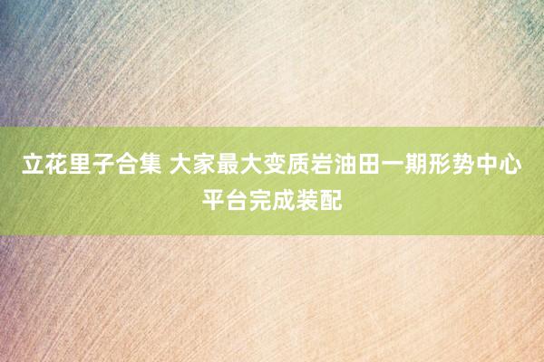 立花里子合集 大家最大变质岩油田一期形势中心平台完成装配