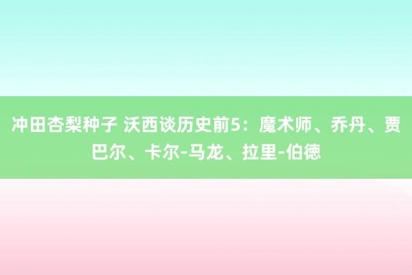 冲田杏梨种子 沃西谈历史前5：魔术师、乔丹、贾巴尔、卡尔-马龙、拉里-伯徳