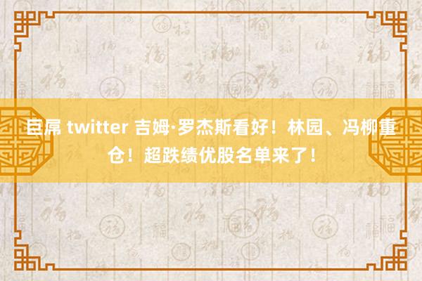巨屌 twitter 吉姆·罗杰斯看好！林园、冯柳重仓！超跌绩优股名单来了！