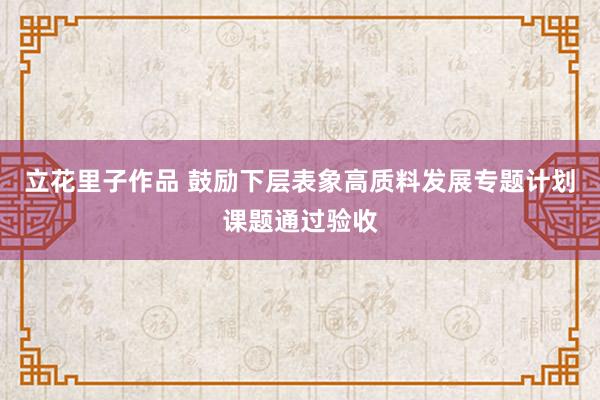 立花里子作品 鼓励下层表象高质料发展专题计划课题通过验收