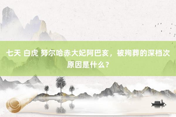 七天 白虎 努尔哈赤大妃阿巴亥，被殉葬的深档次原因是什么？