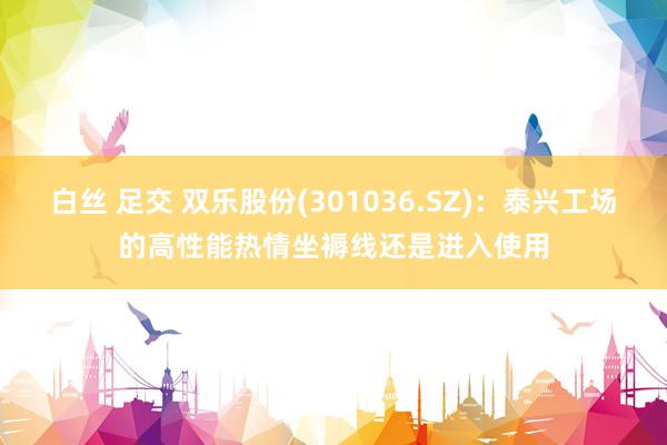 白丝 足交 双乐股份(301036.SZ)：泰兴工场的高性能热情坐褥线还是进入使用