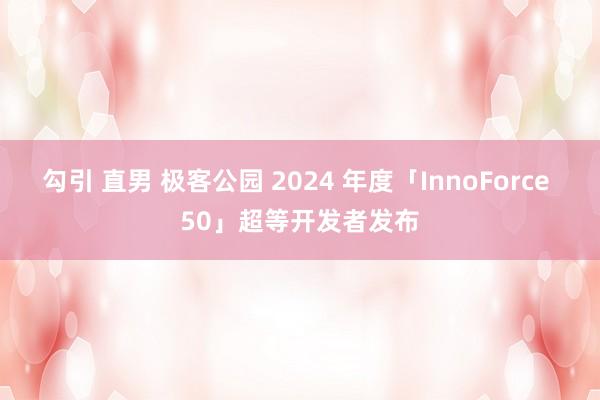 勾引 直男 极客公园 2024 年度「InnoForce 50」超等开发者发布