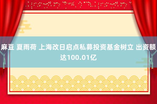 麻豆 夏雨荷 上海改日启点私募投资基金树立 出资额达100.01亿