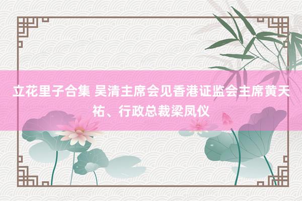 立花里子合集 吴清主席会见香港证监会主席黄天祐、行政总裁梁凤仪