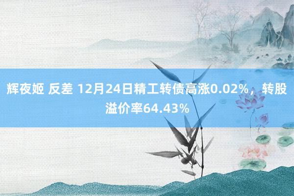 辉夜姬 反差 12月24日精工转债高涨0.02%，转股溢价率64.43%