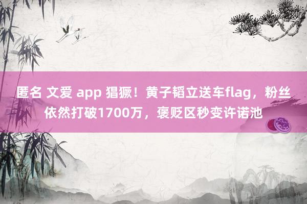 匿名 文爱 app 猖獗！黄子韬立送车flag，粉丝依然打破1700万，褒贬区秒变许诺池