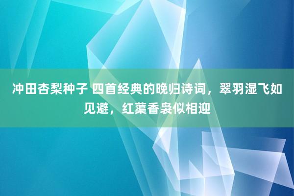 冲田杏梨种子 四首经典的晚归诗词，翠羽湿飞如见避，红蕖香袅似相迎