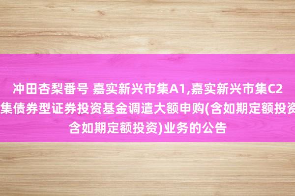 冲田杏梨番号 嘉实新兴市集A1,嘉实新兴市集C2: 嘉实新兴市集债券型证券投资基金调遣大额申购(含如期定额投资)业务的公告