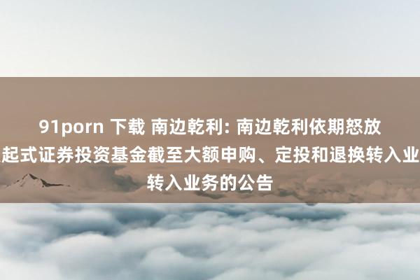 91porn 下载 南边乾利: 南边乾利依期怒放债券型发起式证券投资基金截至大额申购、定投和退换转入业务的公告