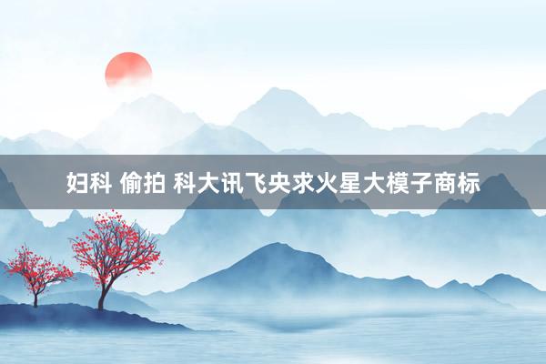 妇科 偷拍 科大讯飞央求火星大模子商标