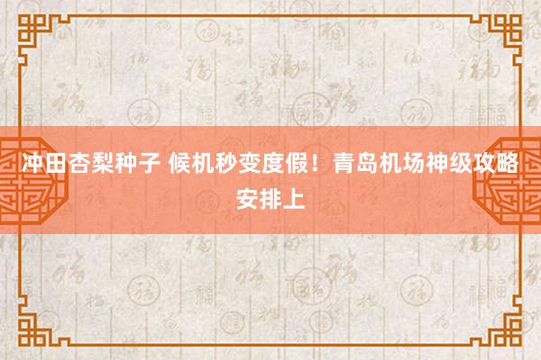 冲田杏梨种子 候机秒变度假！青岛机场神级攻略安排上