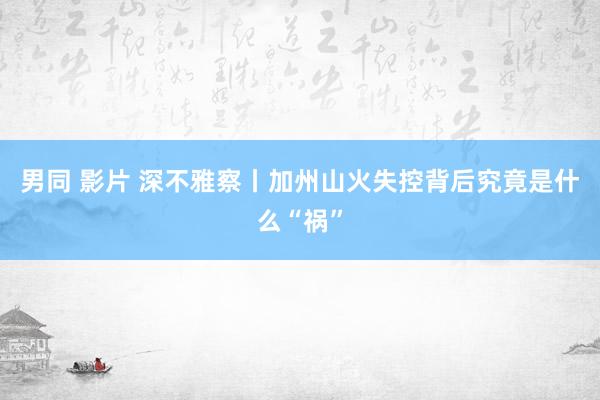 男同 影片 深不雅察丨加州山火失控背后究竟是什么“祸”