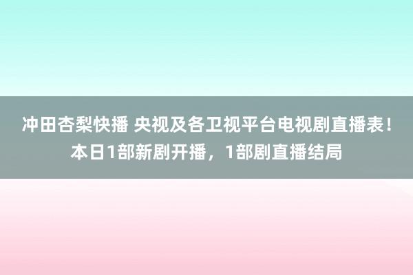 冲田杏梨快播 央视及各卫视平台电视剧直播表！本日1部新剧开播，1部剧直播结局