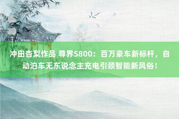 冲田杏梨作品 尊界S800：百万豪车新标杆，自动泊车无东说念主充电引颈智能新风俗！