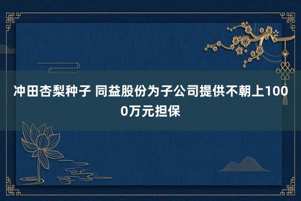 冲田杏梨种子 同益股份为子公司提供不朝上1000万元担保