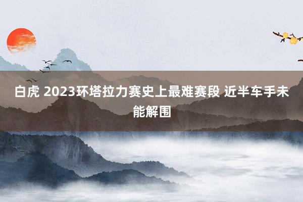 白虎 2023环塔拉力赛史上最难赛段 近半车手未能解围