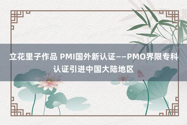 立花里子作品 PMI国外新认证——PMO界限专科认证引进中国大陆地区