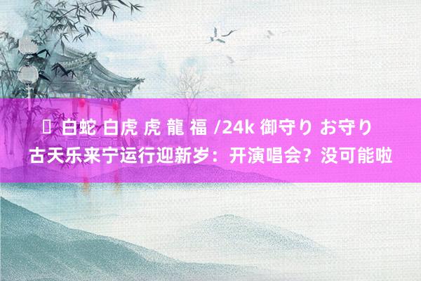 ✨白蛇 白虎 虎 龍 福 /24k 御守り お守り 古天乐来宁运行迎新岁：开演唱会？没可能啦