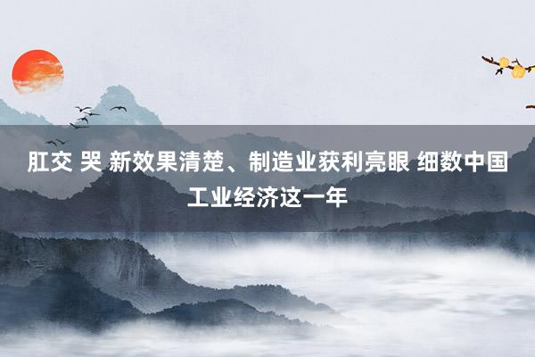 肛交 哭 新效果清楚、制造业获利亮眼 细数中国工业经济这一年