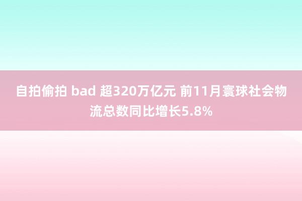 自拍偷拍 bad 超320万亿元 前11月寰球社会物流总数同比增长5.8%