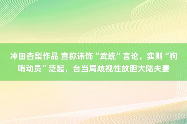 冲田杏梨作品 宣称讳饰“武统”言论，实则“狗哨动员”泛起，台当局歧视性放胆大陆夫妻