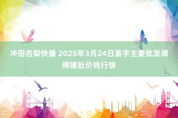 冲田杏梨快播 2025年3月24日寰宇主要批发阛阓猪肚价钱行情