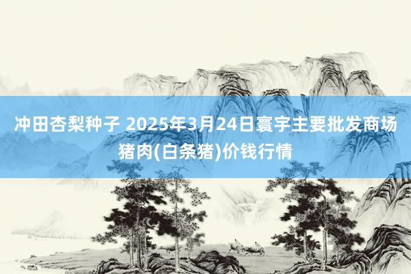 冲田杏梨种子 2025年3月24日寰宇主要批发商场猪肉(白条猪)价钱行情