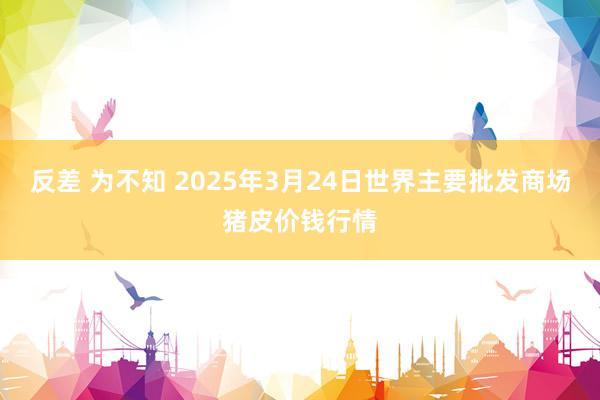 反差 为不知 2025年3月24日世界主要批发商场猪皮价钱行情