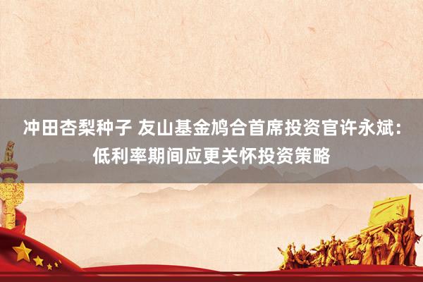 冲田杏梨种子 友山基金鸠合首席投资官许永斌：低利率期间应更关怀投资策略