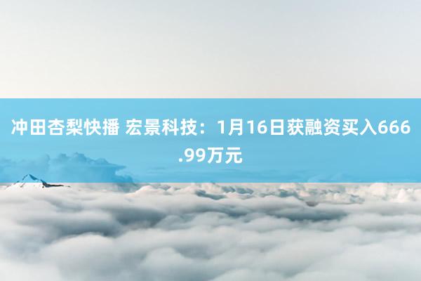 冲田杏梨快播 宏景科技：1月16日获融资买入666.99万元