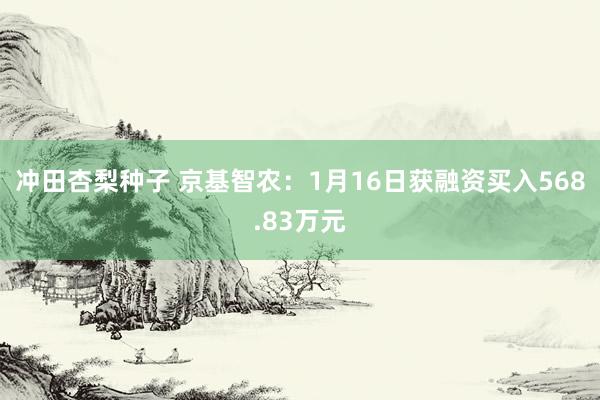 冲田杏梨种子 京基智农：1月16日获融资买入568.83万元