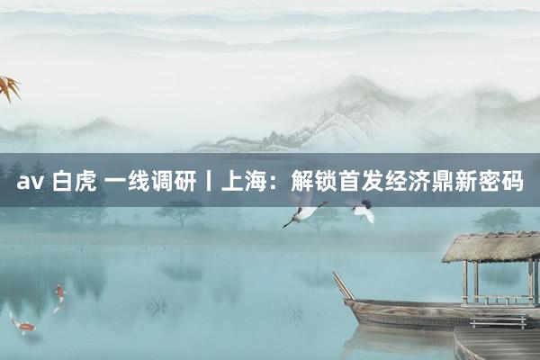 av 白虎 一线调研丨上海：解锁首发经济鼎新密码