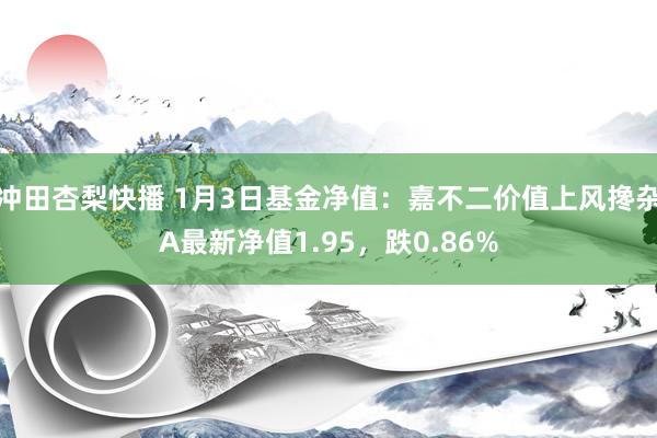 冲田杏梨快播 1月3日基金净值：嘉不二价值上风搀杂A最新净值1.95，跌0.86%