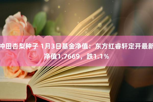冲田杏梨种子 1月3日基金净值：东方红睿轩定开最新净值1.7669，跌1.1%