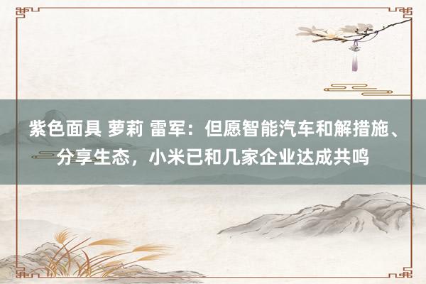 紫色面具 萝莉 雷军：但愿智能汽车和解措施、分享生态，小米已和几家企业达成共鸣
