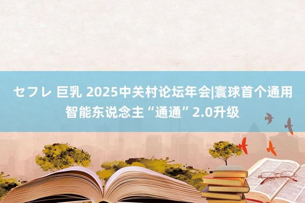 セフレ 巨乳 2025中关村论坛年会|寰球首个通用智能东说念主“通通”2.0升级