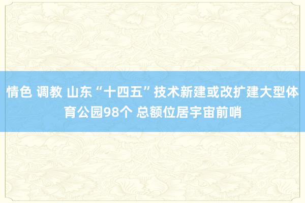 情色 调教 山东“十四五”技术新建或改扩建大型体育公园98个 总额位居宇宙前哨