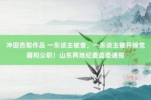 冲田杏梨作品 一东谈主被查，一东谈主被开除党籍和公职！山东两地纪委监委通报