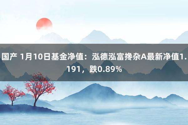 国产 1月10日基金净值：泓德泓富搀杂A最新净值1.191，跌0.89%