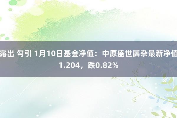露出 勾引 1月10日基金净值：中原盛世羼杂最新净值1.204，跌0.82%