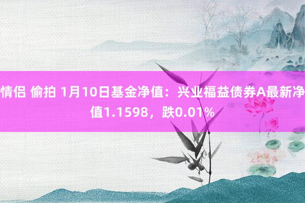情侣 偷拍 1月10日基金净值：兴业福益债券A最新净值1.1598，跌0.01%