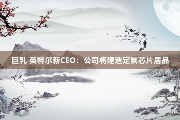 巨乳 英特尔新CEO：公司将建造定制芯片居品