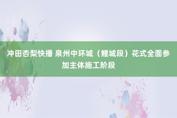 冲田杏梨快播 泉州中环城（鲤城段）花式全面参加主体施工阶段
