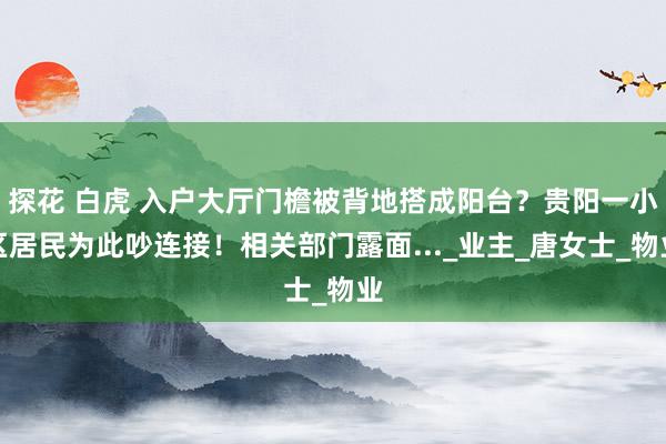 探花 白虎 入户大厅门檐被背地搭成阳台？贵阳一小区居民为此吵连接！相关部门露面..._业主_唐女士_物业